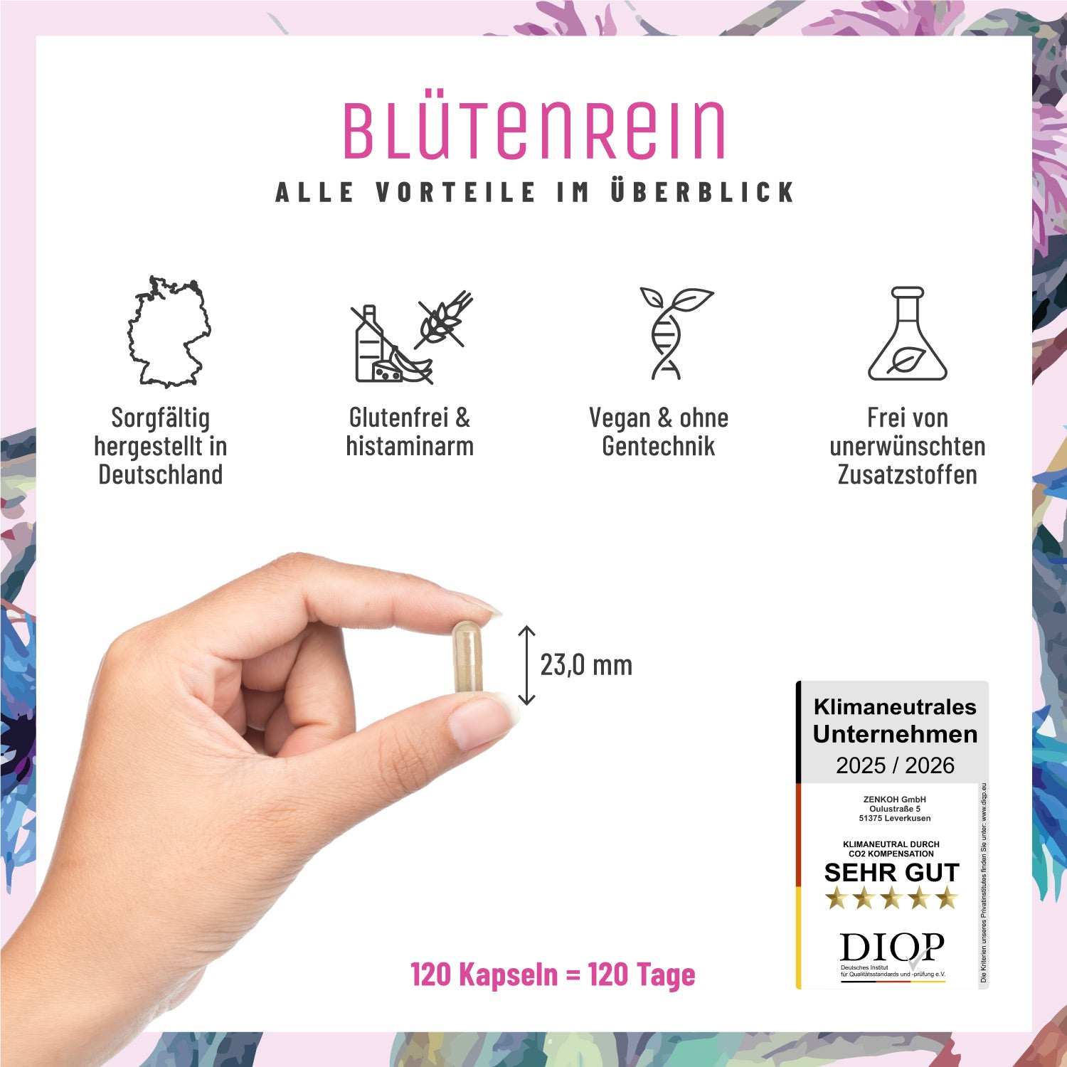 Innere Ordnung - Leber-Komplex mit Mariendistel