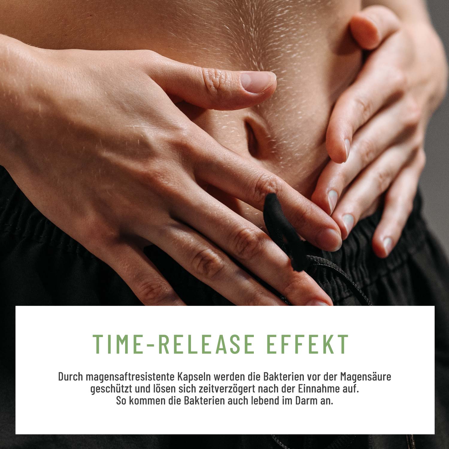 Körpermitte - Bakterienkulturen für den Darm