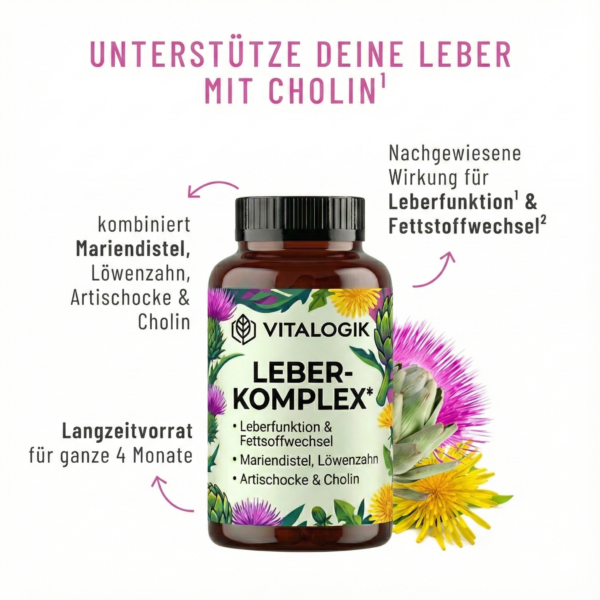 Innere Ordnung - Leber-Komplex mit Mariendistel