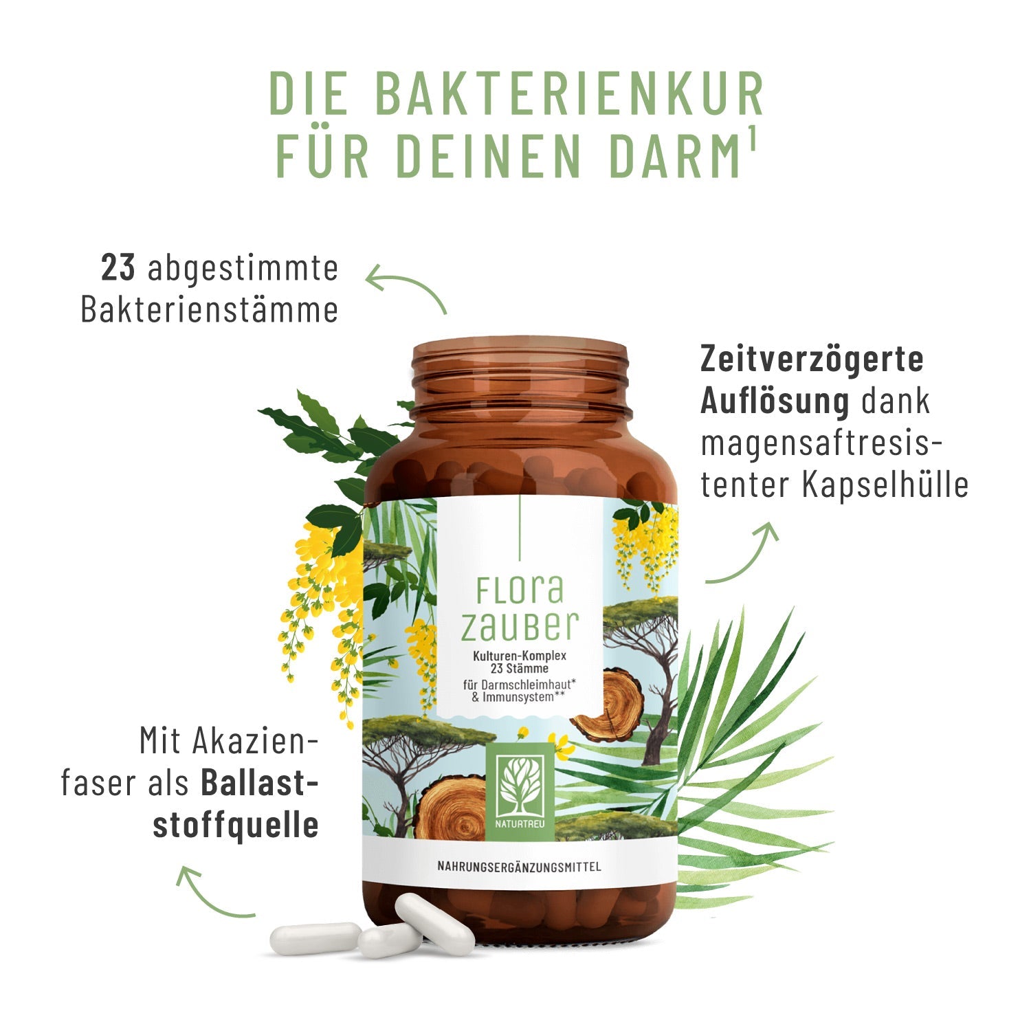Körpermitte - Bakterienkulturen für den Darm