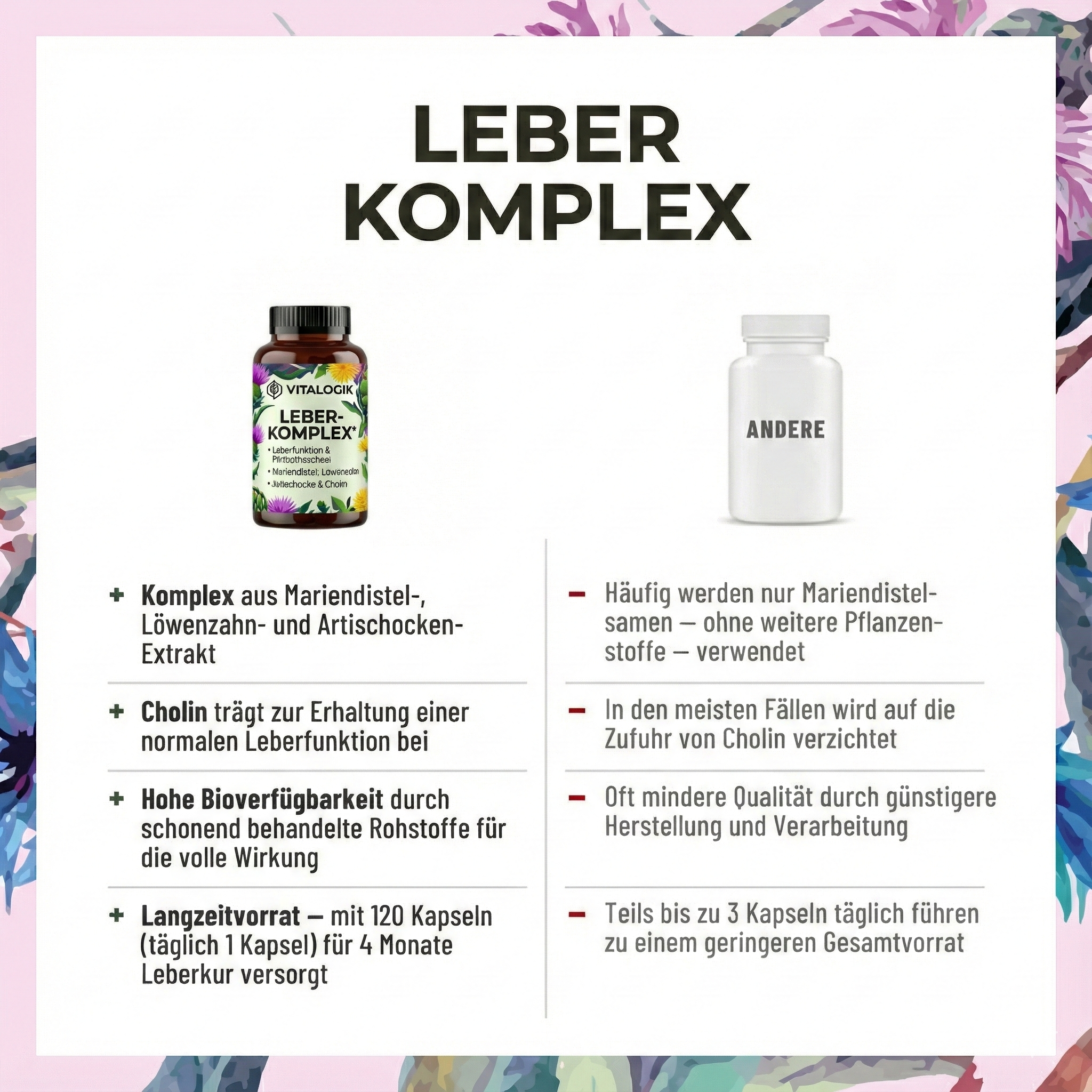 Innere Ordnung - Leber-Komplex mit Mariendistel